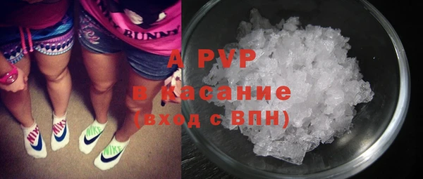 ПСИЛОЦИБИНОВЫЕ ГРИБЫ Арсеньев