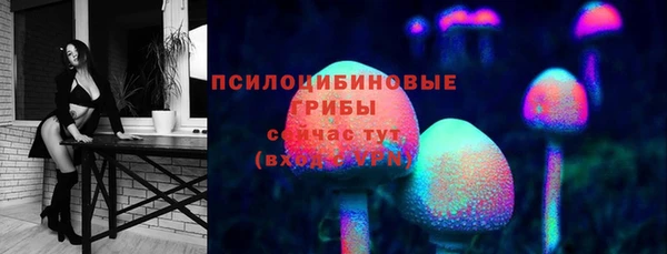 ПСИЛОЦИБИНОВЫЕ ГРИБЫ Арсеньев