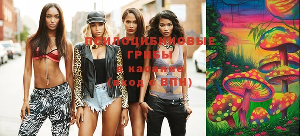 ПСИЛОЦИБИНОВЫЕ ГРИБЫ Арсеньев