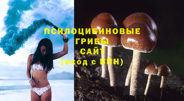 ПСИЛОЦИБИНОВЫЕ ГРИБЫ Арсеньев