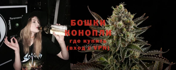 ПСИЛОЦИБИНОВЫЕ ГРИБЫ Арсеньев